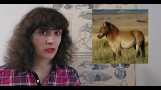 We Need to Talk About Zoos