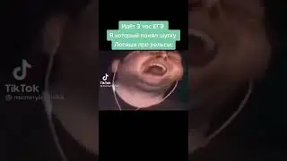 Идёт 3 час ЕГЭ, Я который понял шутку Лосяша про рельсы, (Тикток мем)