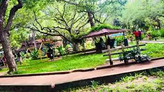 THE PARK