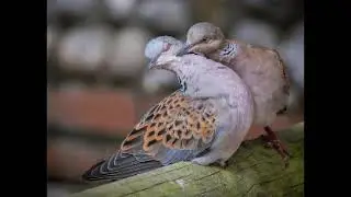 PKE_2021_tăng tốc 2