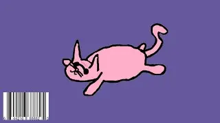 cool cats