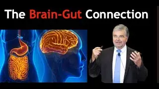 The Brain-Gut Connection |  From The World Leading Expert Dr. Emeran Mayer