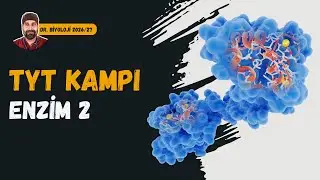 Enzimler 2. Kısım | Dr. Biyoloji | Dönem 2026 - 2027