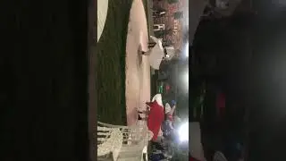 bursa ilahi semazen Grubu