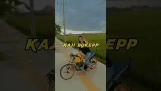 story wa,, tiger kaji bokep