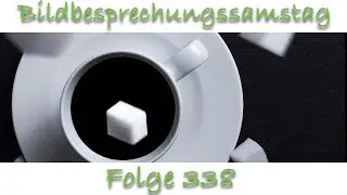 Bildbesprechung 338