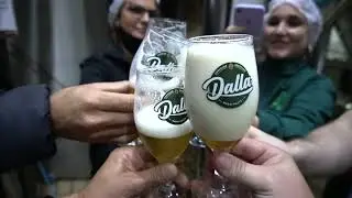 Dalla Cervejaria  nova patrocinadora Chapecoense!
