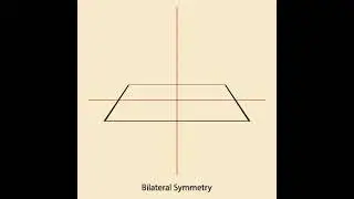 Bilateral Symmetry: Square