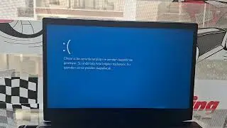 Guzzlord has BSOD