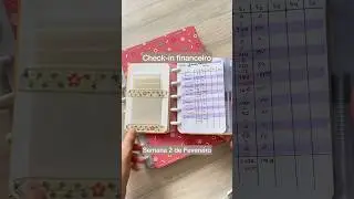 Check-in financeiro Semana 2 de Fev. 2024 - Planner financeiro do Caderno Inteligente (🏷️marici)