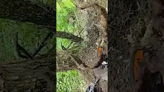 #находки