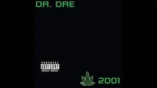 Dr. Dre Chronic 2001 Type Beat 2020 Hip Hop Beat #51
