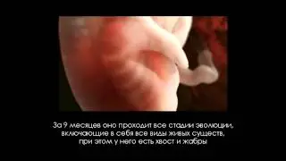 Рождение Человека