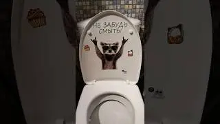 Открываю унитаз а Там😲😲😲