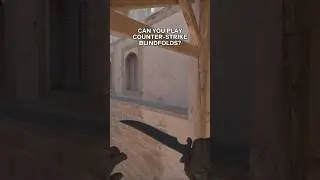 Help #gaming #cs2 #memes