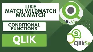 Learn How to Use Conditional Functions like Match Mix Match and Wild Match in Qlik 