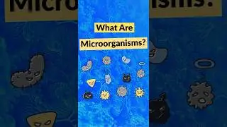 What is a Microorganism? #foodsafety