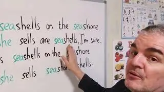 She Sells Seashells on the Seashore...