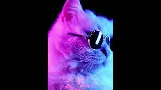 Crazy Catty Cat 🔥 #trending #shorts #youtubeshorts #reels #animals #cat