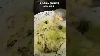Очень вкусный и легкий салат #евгениязакироваомск