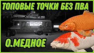 ТОПОВЫЕ ТОЧКИ БЕЗ ПВА | Отличный ФАРМ | ОЗЕРО МЕДНОЕ | Русская Рыбалка 4