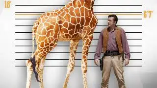 James Arness Of 