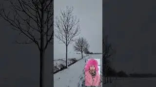 Прогулки 23.12.23