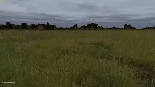 DayZ  Тест