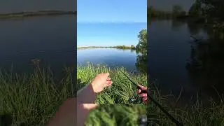 Рыбалка #fishing #лучшаярыбалка #fishingmethod #приколынарыбалке #fishingtechnique #рыболовная