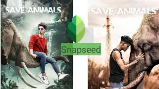 Saved Animals Viral / Snapseed Photo Editing Tutorials / Snapseed Editing / PE