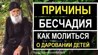 Как испросить у Бога детей? Прп. Паисий Святогорец