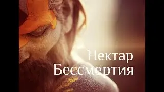 Возникновение Бытия - Нисаргадатта Махарадж. Нектар Бессмертия. Беседы о Вечном