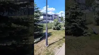 Аллея памяти ВДВ #shorts