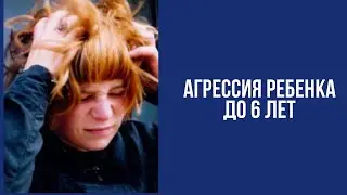 Агрессия ребенка до 6 лет. Возрастные особенности и что делать