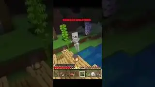 Java Skeletons vs Bedrock Skeletons 💀