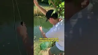 Trapping Bait in the Creek to Catch Big Bass Part.2