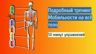 Мобильность на все тело