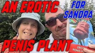 Sandra Gets an Erotic Peni$
