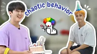 Stay's birthday party in a nutshell (Stray Kids being pure chaos)