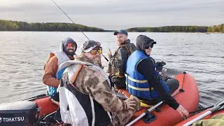 Экспедиция. Выборгский залив 2026