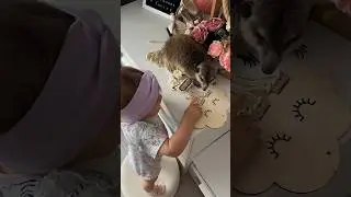 Сурикат и малыш🫶🏽🤍 
