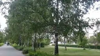 Реальность Барнаула.... Док. фильм....
