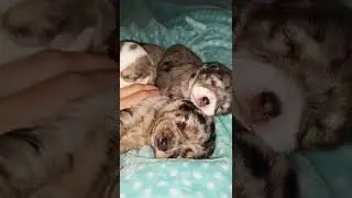 To Tired