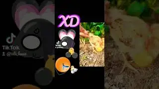5 сентября 2024 г.