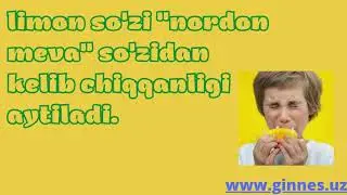 Limon haqida nordon faktlar