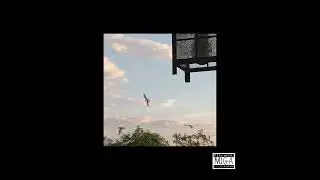 M1gA - Not too Hard [prod. theogotit + mvgnolia]