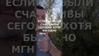 счастливый день