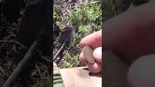 Рассыпуха на богатом фундаменте! 
