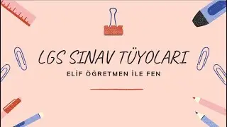 LGS Sınavı öncesinde ve sınav sırasında dikkat edilmesi gerekenler
