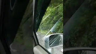 Дикие медведи, Трансфэгэрашское шоссе, Румыния